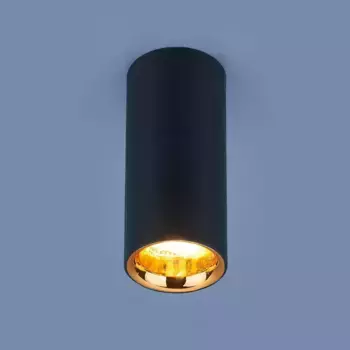 Потолочный светодиодный светильник Elektrostandard DLR030 12W 4200K черный матовый a040668