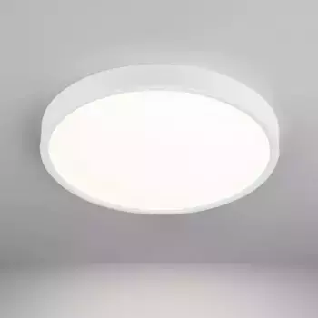 Потолочный светодиодный светильник Elektrostandard DLR034 24W 4200K a043016