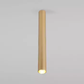 Потолочный светодиодный светильник Elektrostandard Pika 25030/Led золото a061120