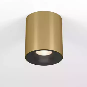 Потолочный светодиодный светильник Elektrostandard Primo 25116/LED a069413