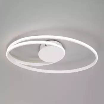 Потолочный светодиодный светильник Eurosvet Caroline 90250/1