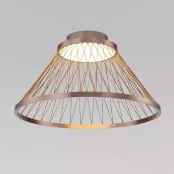 Потолочный светодиодный светильник Eurosvet Cesta 40019/1 LED коричневый