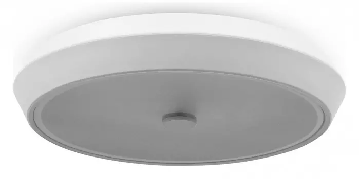 Потолочный светодиодный светильник Freya Cells FR10012CL-L24W