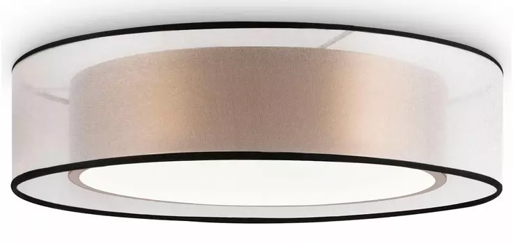 Потолочный светодиодный светильник Freya Zoticus FR6005CL-L36G