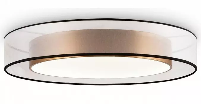 Потолочный светодиодный светильник Freya Zoticus FR6005CL-L48G