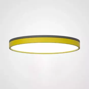 Потолочный светодиодный светильник Imperium Loft Kier 181032-26