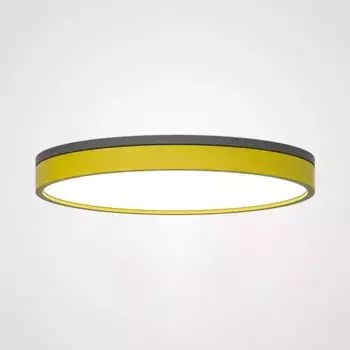 Потолочный светодиодный светильник Imperium Loft Kier 181030-26