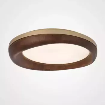 Потолочный светодиодный светильник Imperium Loft Runis 219475-26