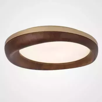 Потолочный светодиодный светильник Imperium Loft Runis 219478-26