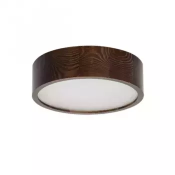 Потолочный светодиодный светильник Kanlux Jasmin 23120