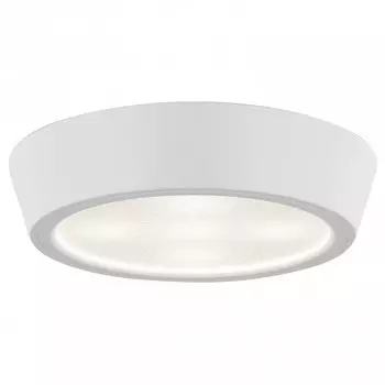 Потолочный светодиодный светильник Lightstar Urbano 214902