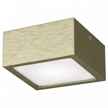 Потолочный светодиодный светильник Lightstar Zolla 213921