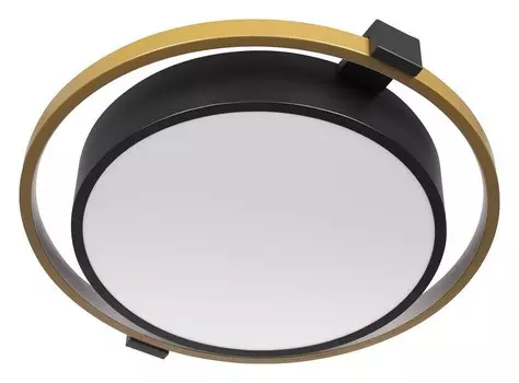 Потолочный светодиодный светильник Loft IT Mike 10169