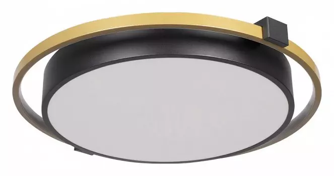 Потолочный светодиодный светильник Loft IT Mike 10170