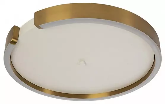 Потолочный светодиодный светильник Loft IT Ring 10026