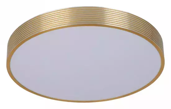 Потолочный светодиодный светильник Lucide Malin 79184/24/02