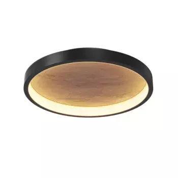 Потолочный светодиодный светильник Maytoni Orign MOD311CL-L27B3K