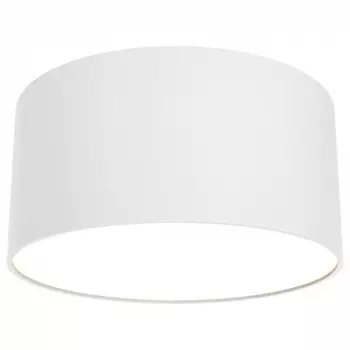 Потолочный светодиодный светильник Maytoni Technical Zon C032CL-L12W3K