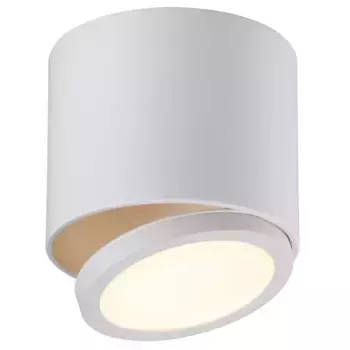 Потолочный светодиодный светильник Omnilux Canicatti OML-20501-01