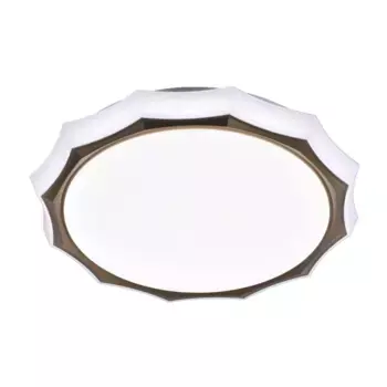 Потолочный светодиодный светильник Profit Light 2072/450 WH+CR