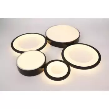 Потолочный светодиодный светильник Rivoli Aliona 6161-201 Б0066468