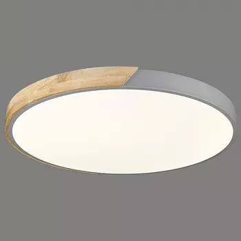 Потолочный светодиодный светильник Velante 445-267-01