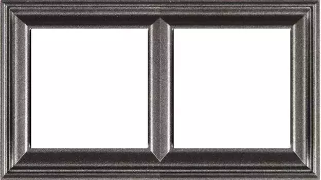 Рамка двухместная Jung EPD482AN