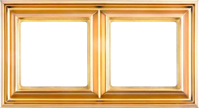 Рамка двухместная Jung EPD482GO