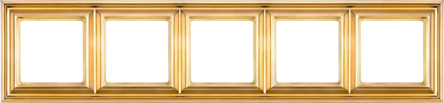 Рамка пятиместная Jung EPD485GO