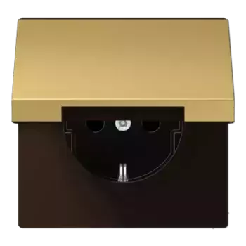 Розетка 2K+З с крышкой Jung ME1520KLC