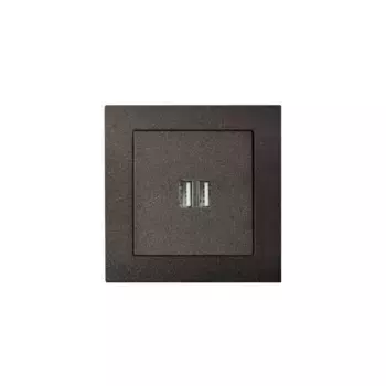 Розетка 2xUSB Liregus Epsilon антрацит 28-1136
