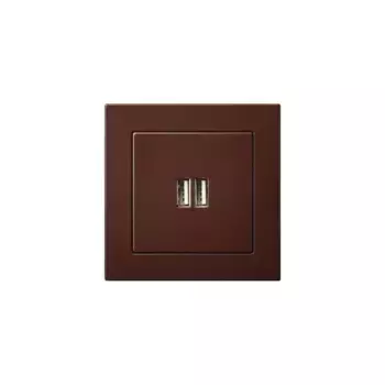 Розетка 2xUSB Liregus Epsilon коричневый 28-1453