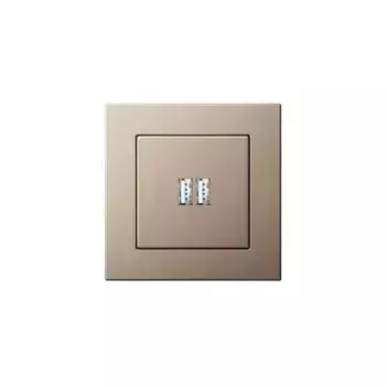 Розетка 2xUSB Liregus Epsilon шампань 28-3242