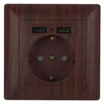 Розетка ЭРА Intro Solo Schuko P+E 16A 250V со шторками 2хUSB венге 4-410-10 Б0043408