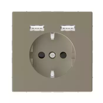 Розетка компьютерная USBx2 Schneider Electric Merten D-Life MTN2366-6033