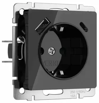 Розетка с заземлением и с шторками и 2хUSB, без рамки Werkel Черный акрил W1171748