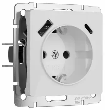 Розетка с заземлением и с шторками и 2хUSB, без рамки Werkel Белый акрил W1171741