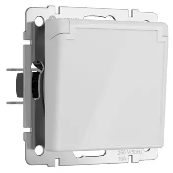 Розетка с заземлением, крышкой и шторками Werkel 4690389197338 W1171241 a064013