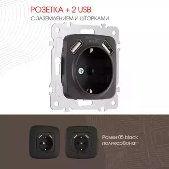 Розетка с заземлением, шторками + 2 USB Arte Milano 205.47-1.black