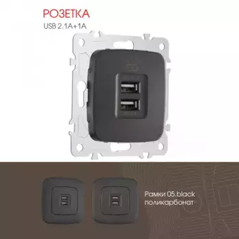 Розетка USB 2.1А+1А Arte Milano 205.46-1.black