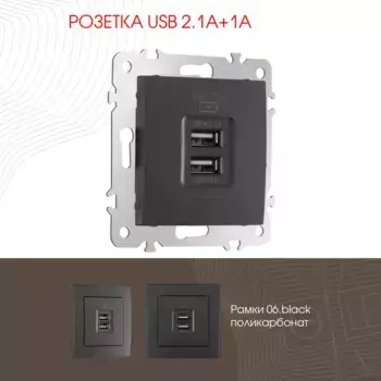 Розетка USB 2.1А+1А Arte Milano 206.46-1.black