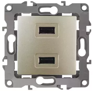 Розетка USB Эра 12-4110-04 Б0027494