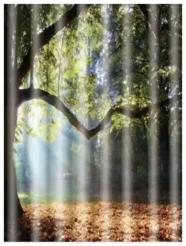 Штора для ванны Frap 180х180 осень