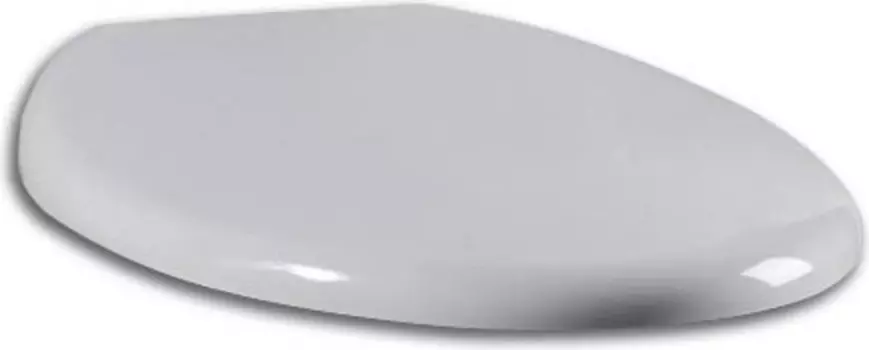 Сиденье для унитаза Am.pm Bliss (C557851WH)