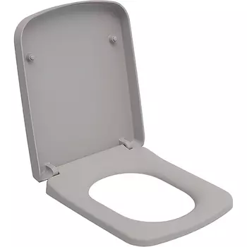 Сиденье для унитаза Ambassador Benefit серое матовое с микролифтом