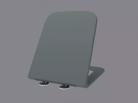 Крышка-сиденье для унитаза WeltWasser SK 2312 с микролифтом, серый матовый