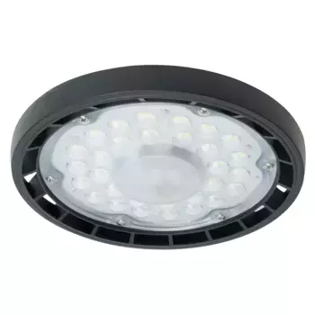 Складской светильник Feron AL1006 51622