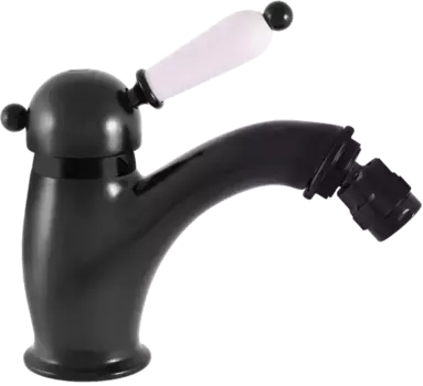 Смеситель для биде Rav Slezak Labe черный матовый