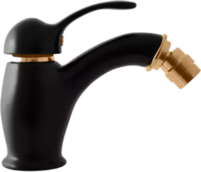 Смеситель для биде Rav Slezak Labe черный матовый - золото