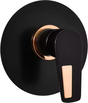 Смеситель для душа Rav Slezak Colorado черный матовый - золото